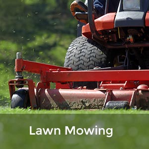 Lawn Mowing Services