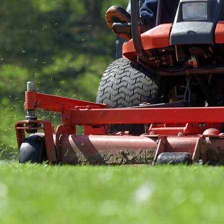 Lawn Mowing